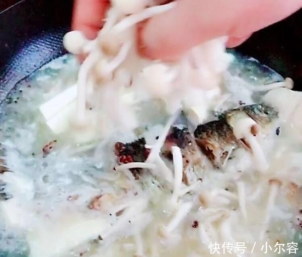 神奇|鲫鱼的神奇做法,补血又养胃,好吃又营养,绝对是一道硬菜
