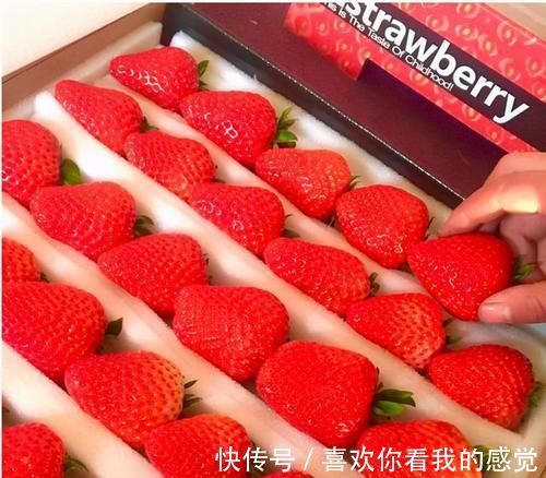 奶奶|“奶奶，我想吃草莓”冬天草莓50元一斤，家长该不该给孩子买？