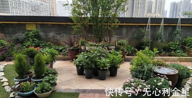 矾根|为了300㎡露台花园，毫不犹豫买了这房子，在城市屋顶过上田园生活！