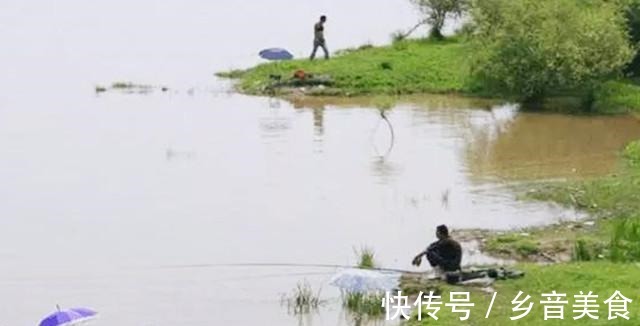 素饵|夏钓鲫鱼,如何能快速上鱼记住这3点就行!