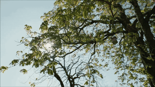 小长假来临，快用这些宝藏“国货彩妆”打造独具一格的妆容吧～