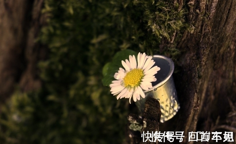 天后|20天后,桃花涌来,桃花不断,爱火复燃,乞求复合,从此深陷其中