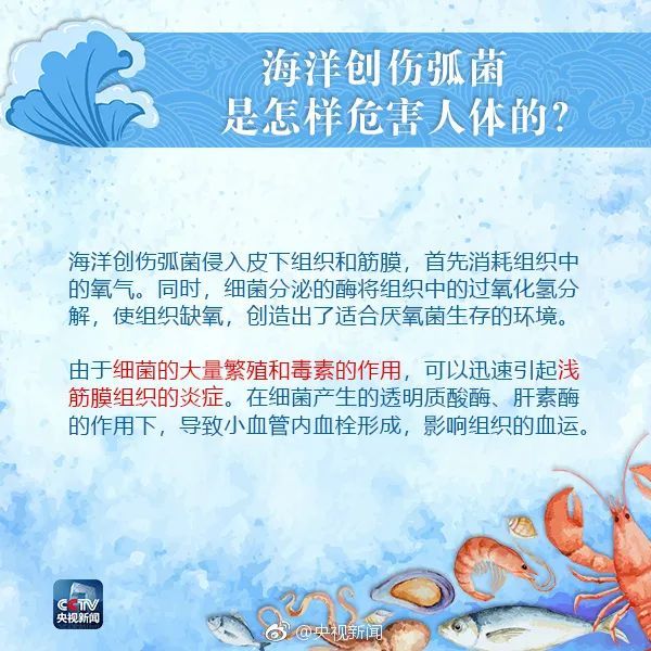 海洋创伤弧菌|吃海鲜前这件事千万要注意！广东大爷被迫截肢……