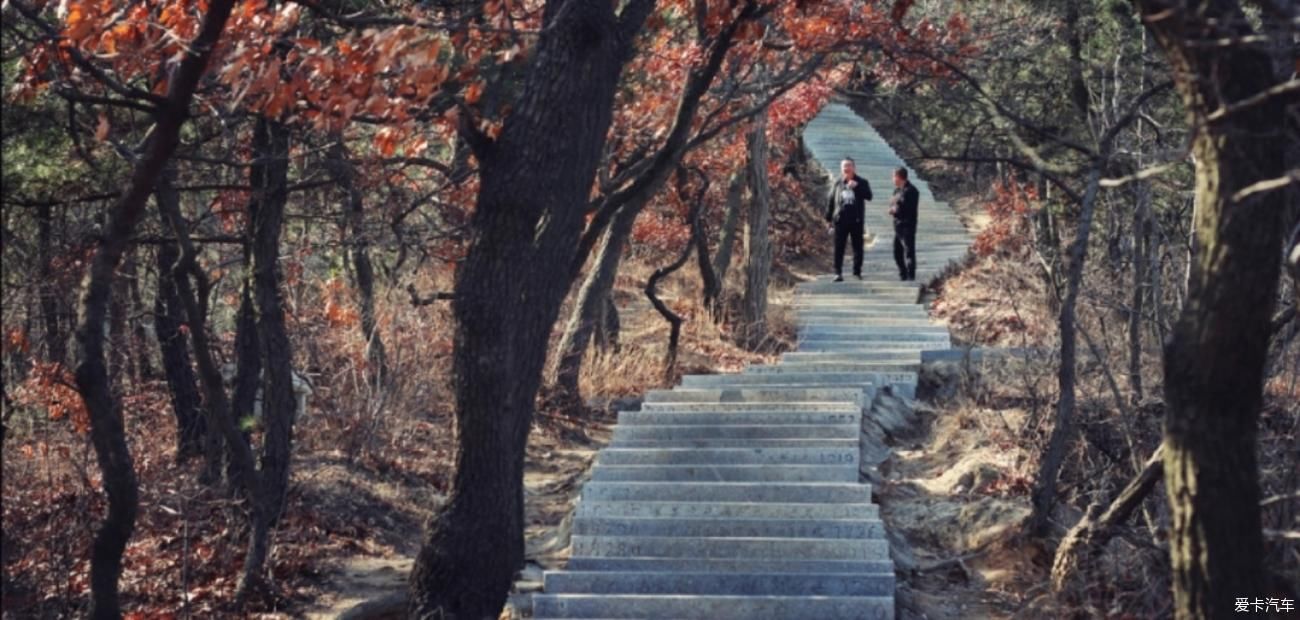 返回|南山，美景无数难返回