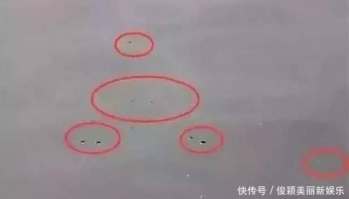 浮漂|野钓发现3种信号,说明“大家伙”来了,万万不要胡乱提竿