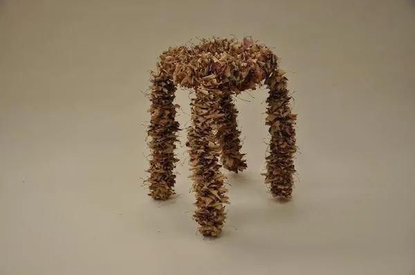  本源|设计与奇思：装饰之自然本源