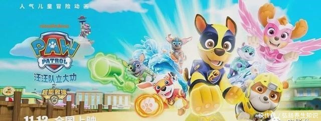 《汪汪队立大功之超能救援》进电影院看三集动画片,我也是醉了