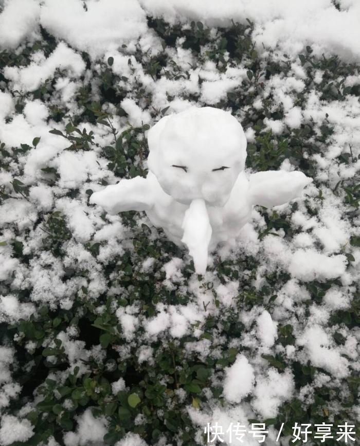 南方下雪都是这么兴奋的。网友直呼“被你们玩坏了”!
