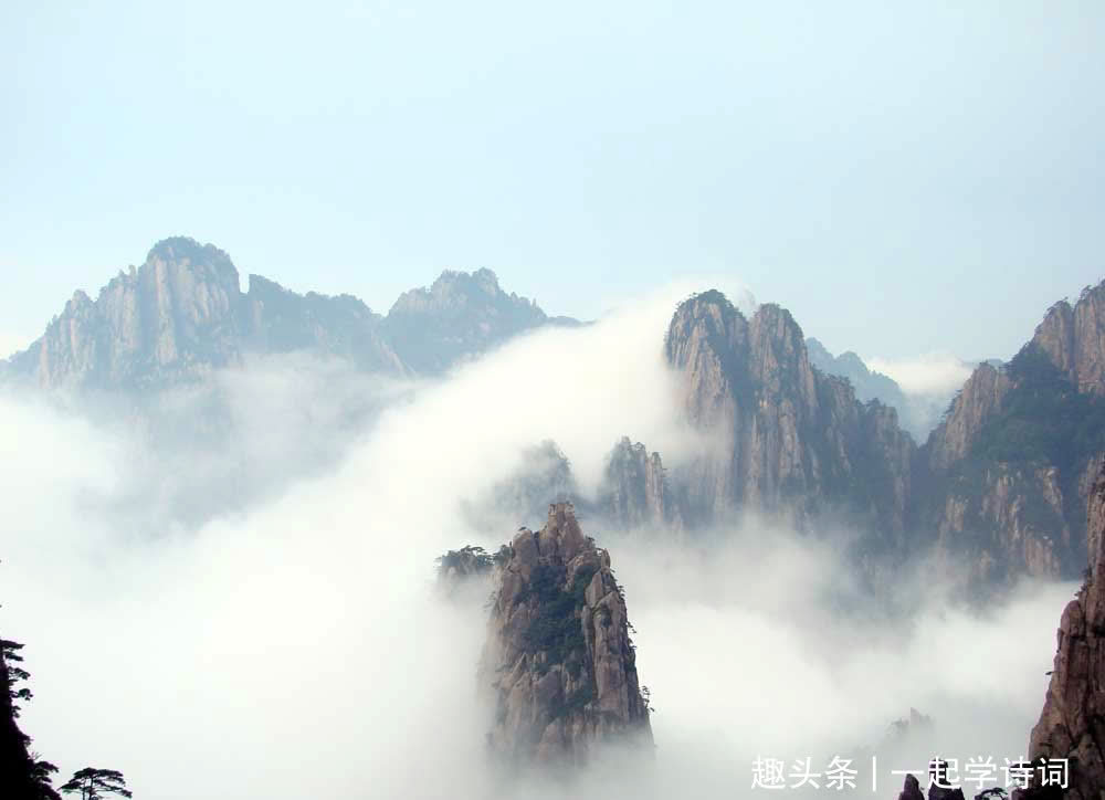 临池竹&虞世南 赋得临池竹应制