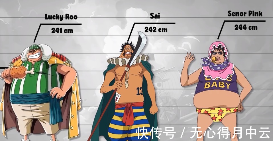 唐吉坷德|海贼王数据公示3路飞比亲爹矮82公分,唐吉坷德家族人才济济