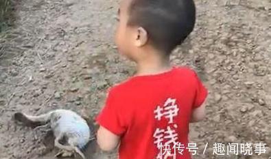 孩子|夫妻两人出国,将孩子给乡下奶奶带,看到奶奶发来的照片夫妻笑了