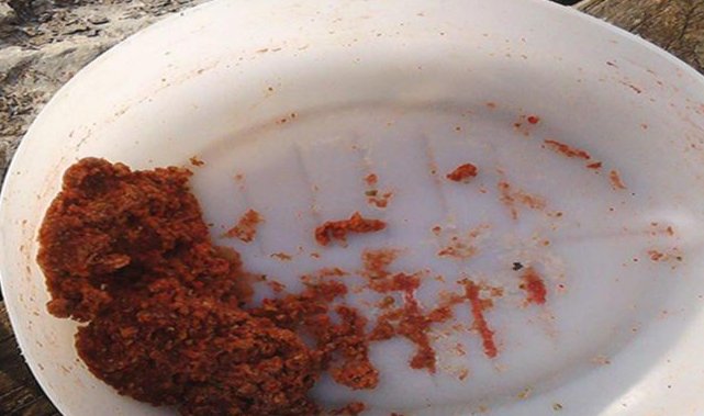 老钓手分享黑坑饵料三部曲，一不小心就成坑冠了！