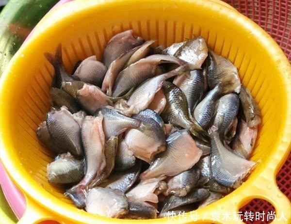 以前这鱼被称为“垃圾鱼”，用来喂鸭子，现如今却卖到30一斤