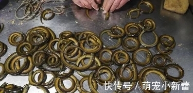 水产品|医生：这三种鱼，肉里或含有大量重金属和甲醛，生活中尽量少食用