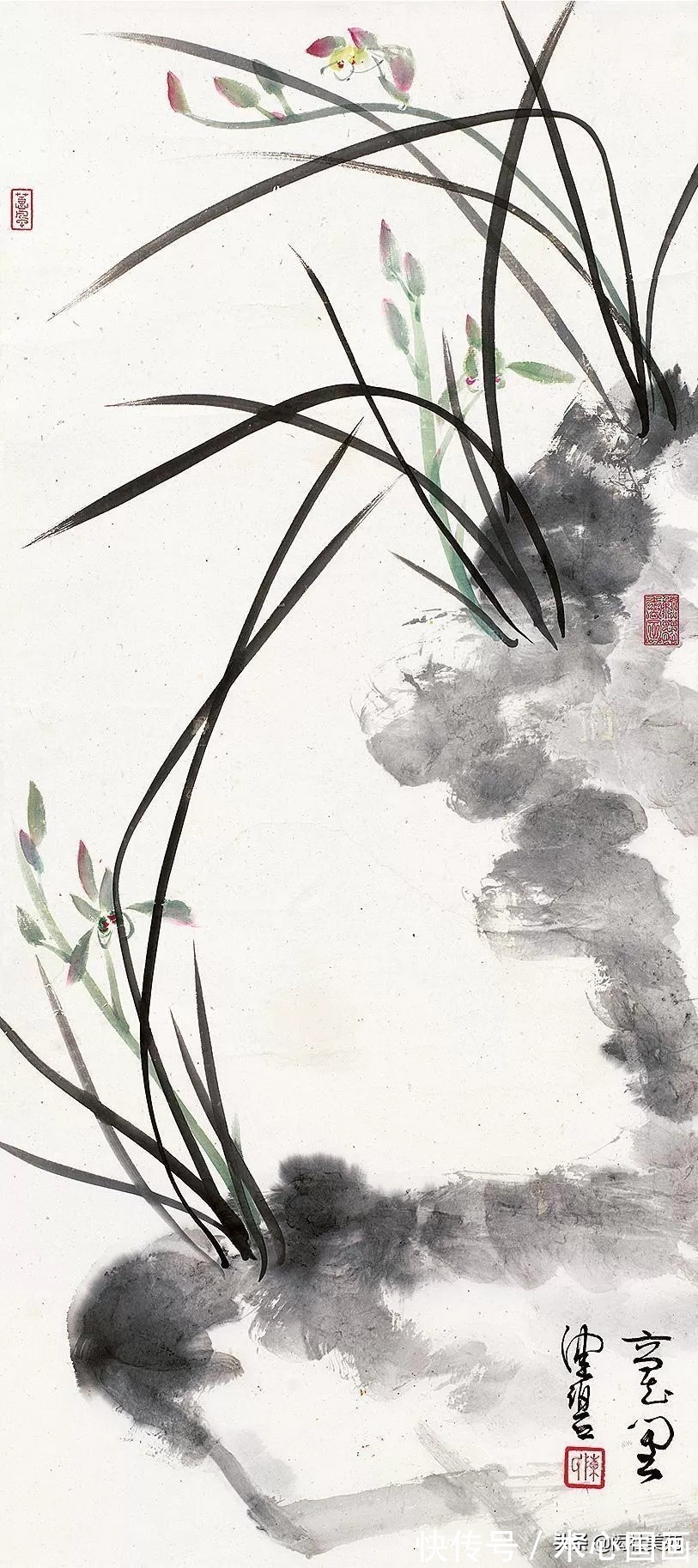 素心!兰画兰诗两芬芳