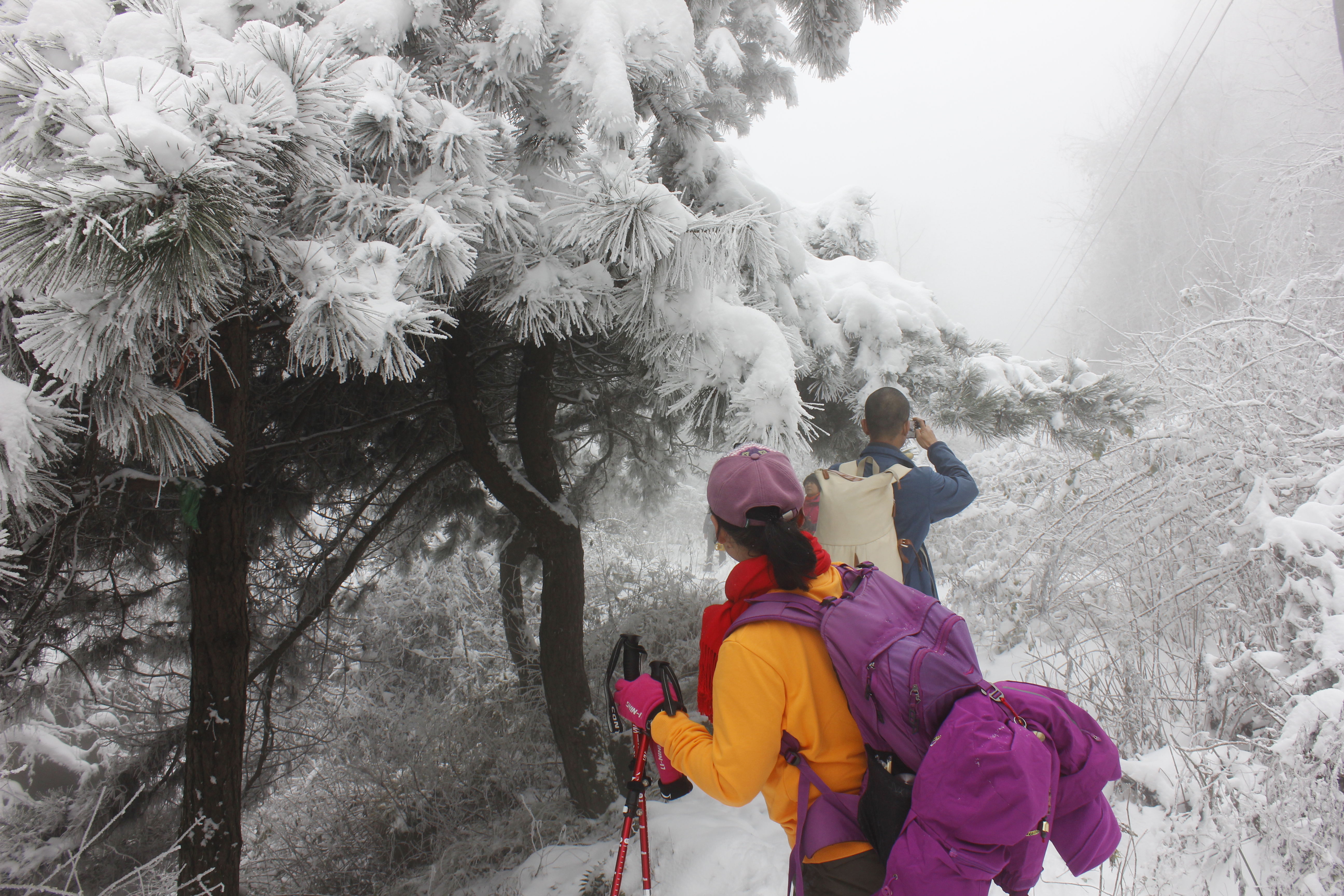 征集|【年末福利征集】雪后南五台幸遇云海