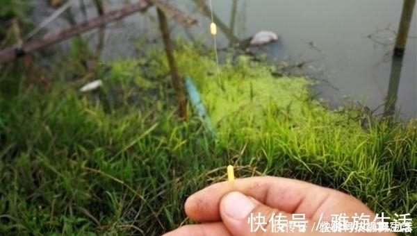鱼钩|七星漂钓组的搭配和调漂技巧，野钓鲫鱼最靠谱钓法，钓鱼人必学
