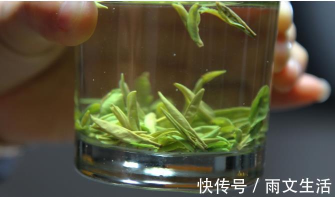 养生|健康养生:夏天喝这六种茶,强身健体,精神百倍,值得收藏!