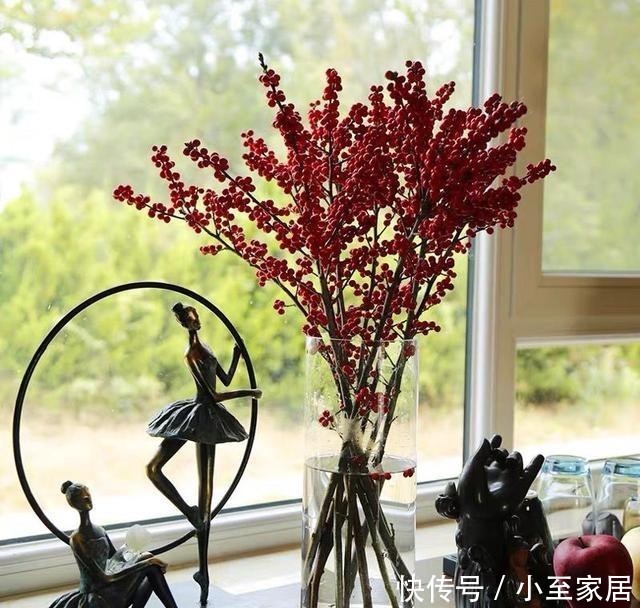 观赏价值|适合冬天养的12种花,家里养几盆,生机盎然,美如仙境!