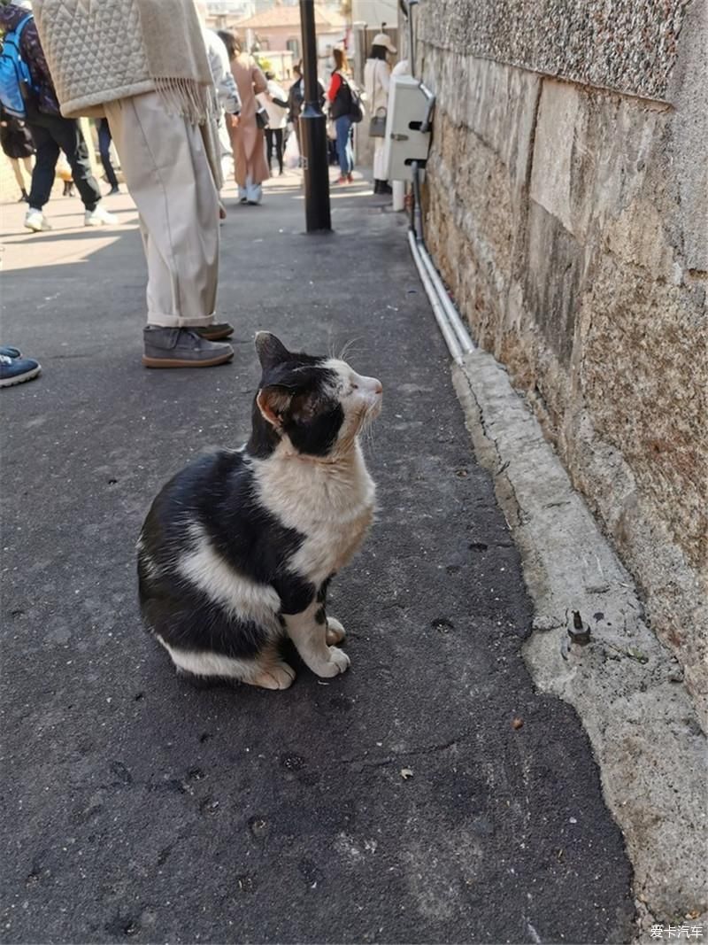花海|厦门自由行