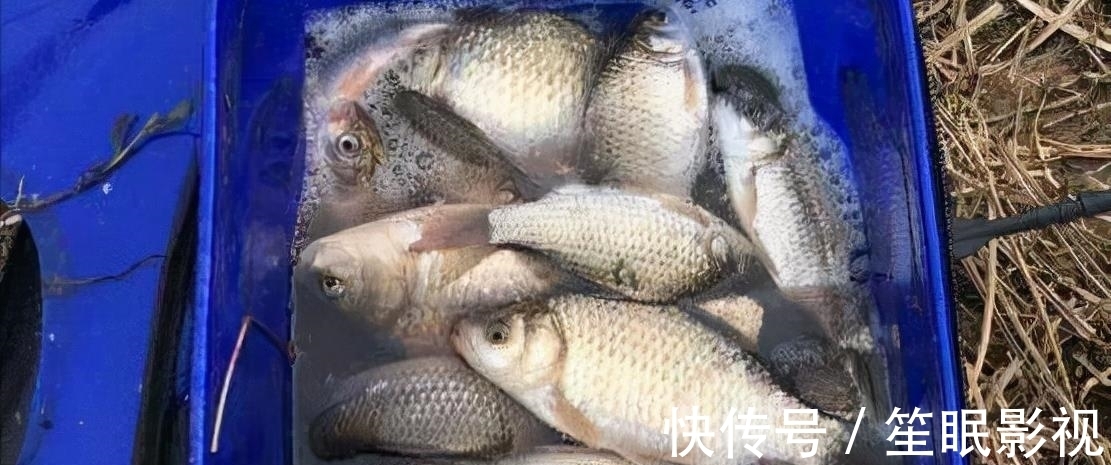 冬季钓鱼,这个地方都是鱼窝,在鱼窝里还怕钓不到鱼?