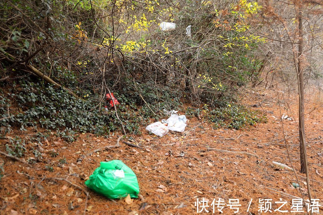 颖之|小众秘境风光，一个个被糟蹋，征集黄金古道有伤风景的照片