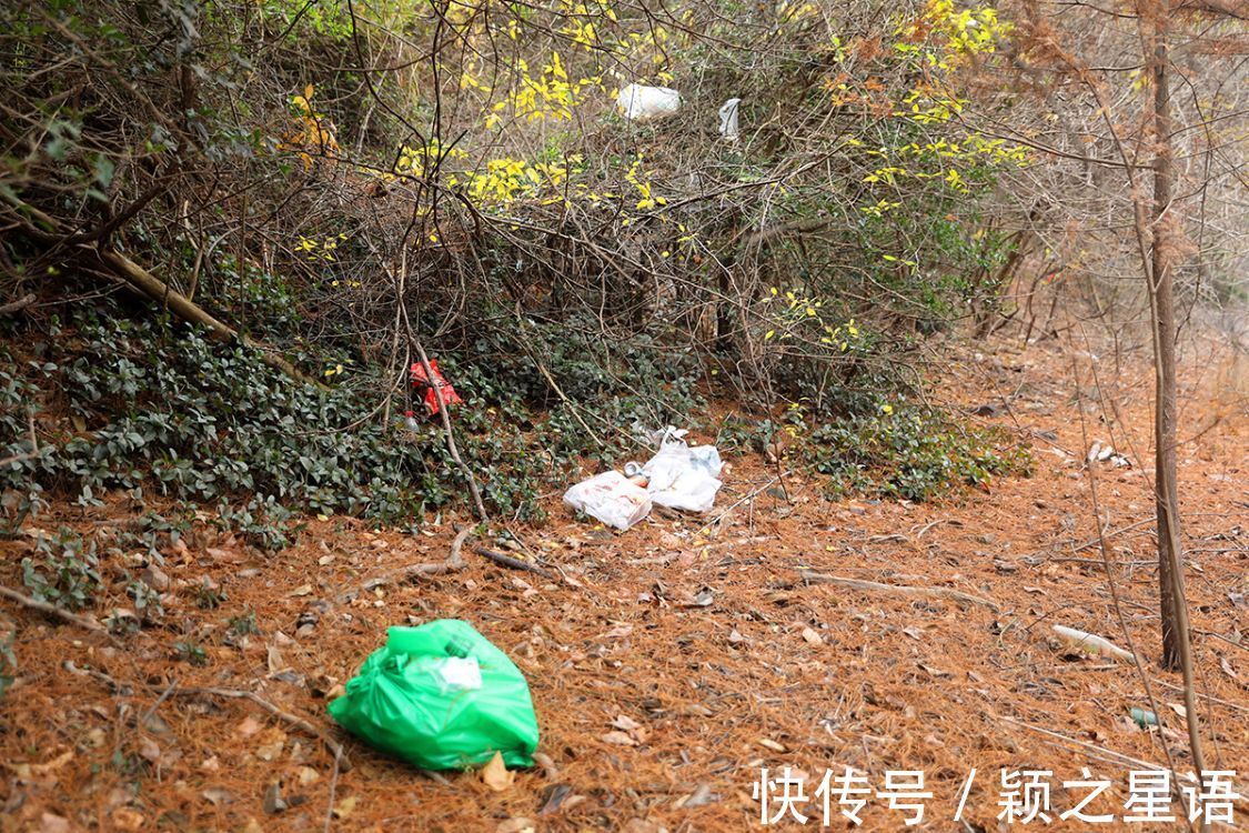 颖之|小众秘境风光,一个个被糟蹋,征集黄金古道有伤风景的照片