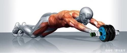 屈髋|想要练出强悍的核心力量,不要错过了健腹轮,同时刺激全身肌肉