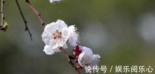 现实生活中|做事先做人：做事可以失败，做人不能失败！八大做人智慧，学习了