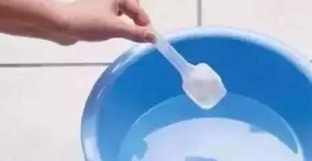 这几种“小药片”可别扔了,放水里搅一搅,促生根开花还能防烂根