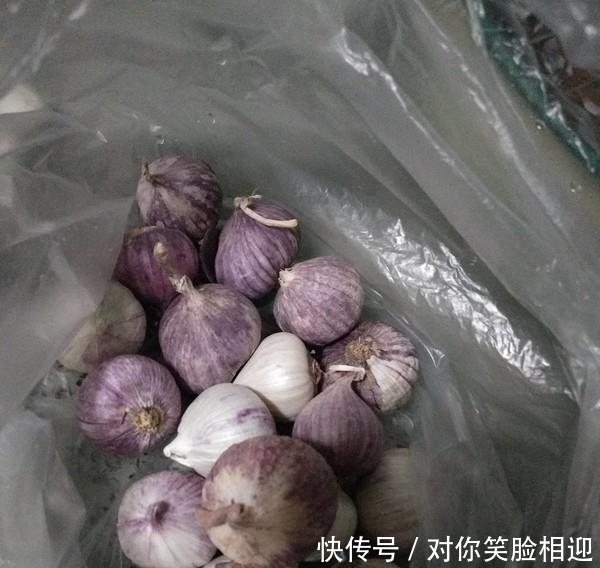 西兰花|“它”是史上最悲催的入侵物种,刚到中国,就被吃的连渣都不剩!