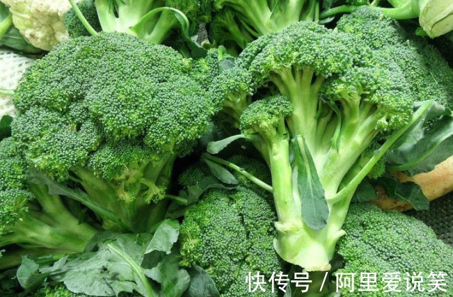 植物蛋白|天冷了,喜欢西兰花的人,身体不会差,但切记与此物同食,要谨记