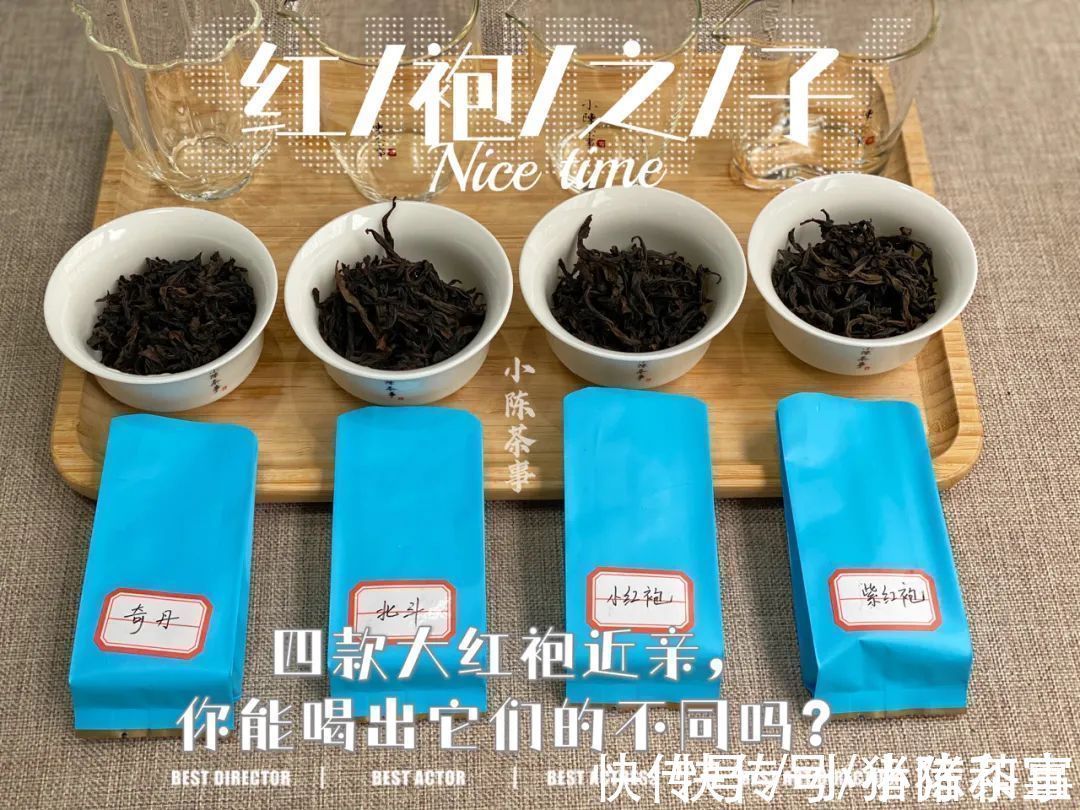 李麻花$四则茶圈秘辛，讲述大红袍后代们的跌宕故事，走进岩茶的历史变迁