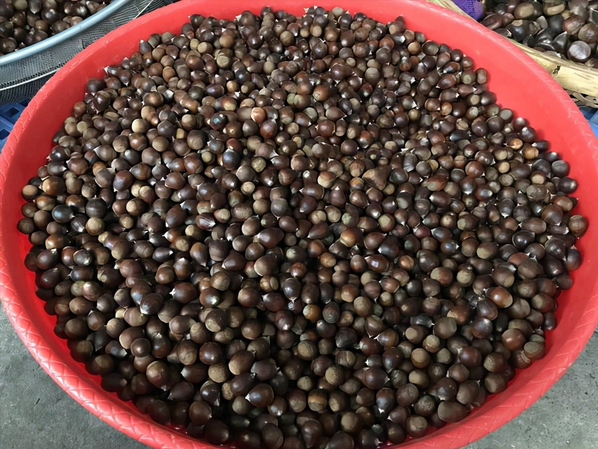 这些土货有点小贵，甜香粉糯，多吃长个不长肉，为了孩子值得买