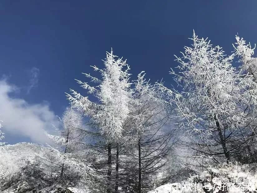 一幅|雪漫江山美如画：好一幅写实的陕西镇坪水墨画雪景