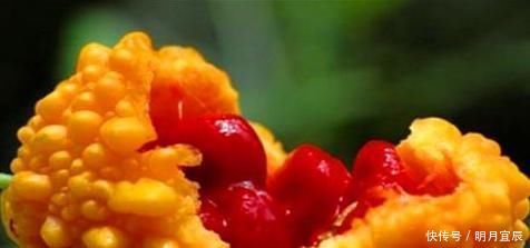 會(huì)吃的人最健康,不妨多吃的食物,護(hù)肝明目,活血補(bǔ)血