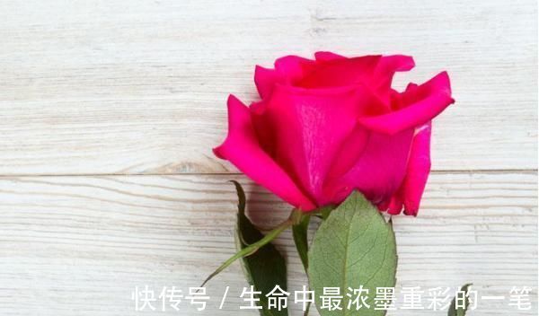 聪明的人|俗话说:病从口入祸从口出,尤其是这4句话,说了祸事不断!