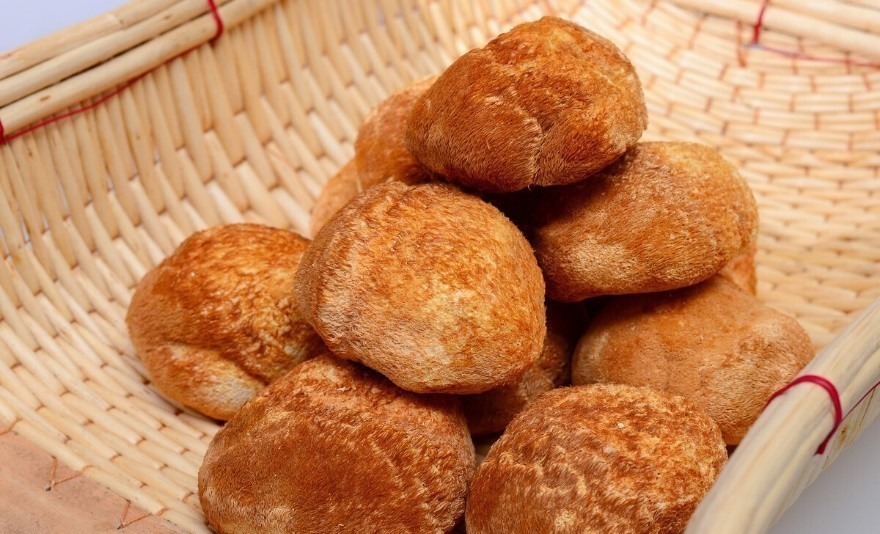 身高|父母身高不足1米65,14岁男孩身高一米七,儿科:2习惯必须改