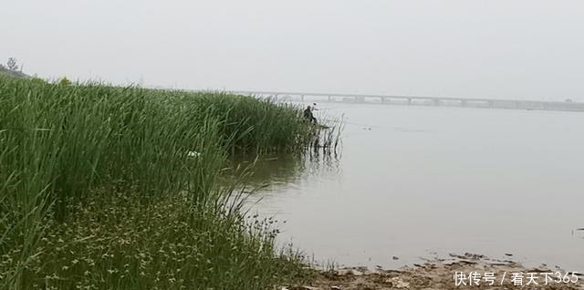 具备这些特征的钓鱼人,都是“王者”