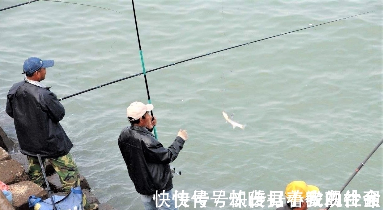 垂钓|野钓时调四钓二与调平钓二,哪种调漂方法更好?