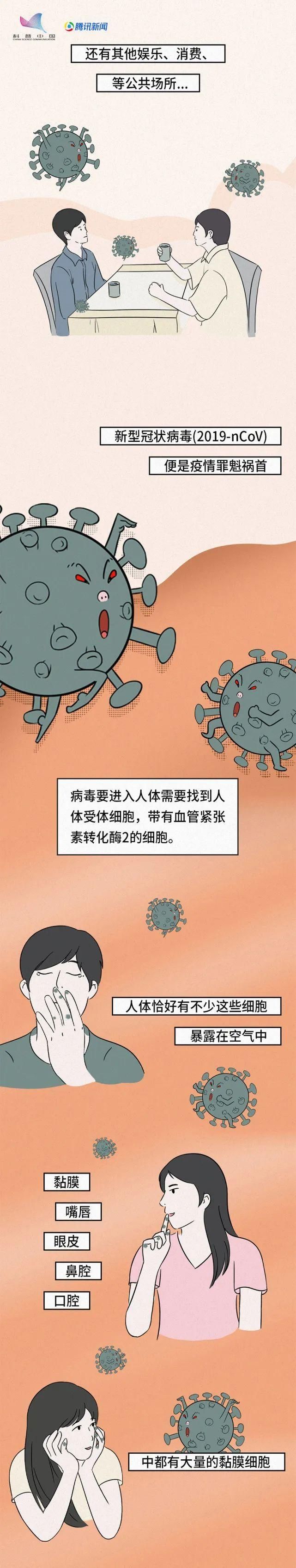 病毒|新冠大作战丨漫画图解新冠病毒到底是一种怎样的生物?？