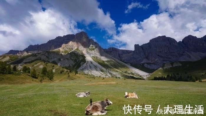 规矩|山区村民集资修建景区免费开放，规矩很多却游客不断