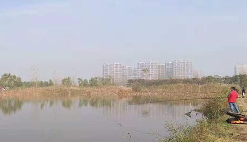 小雪过后钓鲫鱼，这种钓法“出场率”变高，钓大鲫鱼，一点不含糊