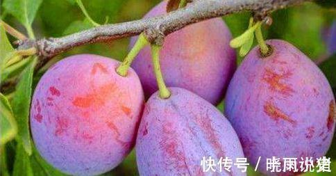 食物|想养生得会吃,3种食物换着吃,润肠通便,高效减肥,好处多多