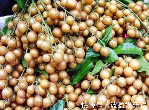 止咳化痰|晚上当零食吃几颗,一个月下来,止咳化痰,消炎杀菌,夏天不咳嗽