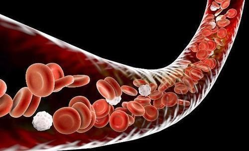 血管清道夫|男人坚持晨起生吃大蒜,不出半个月,3件好处可能“不请自来”!