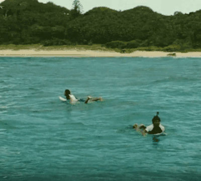 |搞笑GIF:别装了 我知道你就是故意的