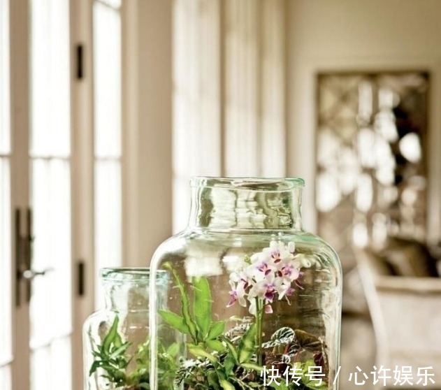 任何容器都能用来做花盆,请收好这30种美丽的花盆搭配设计