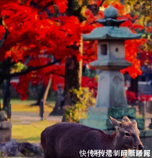 释文珦#诗僧笔下的秋天,不仅有最美的秋色,还有浓浓禅意,令人回味无穷