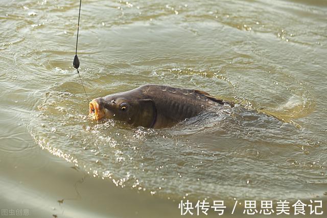 大爷|70岁的大爷，钓鱼也许是幌子，人家玩的是装备，件件价值不菲